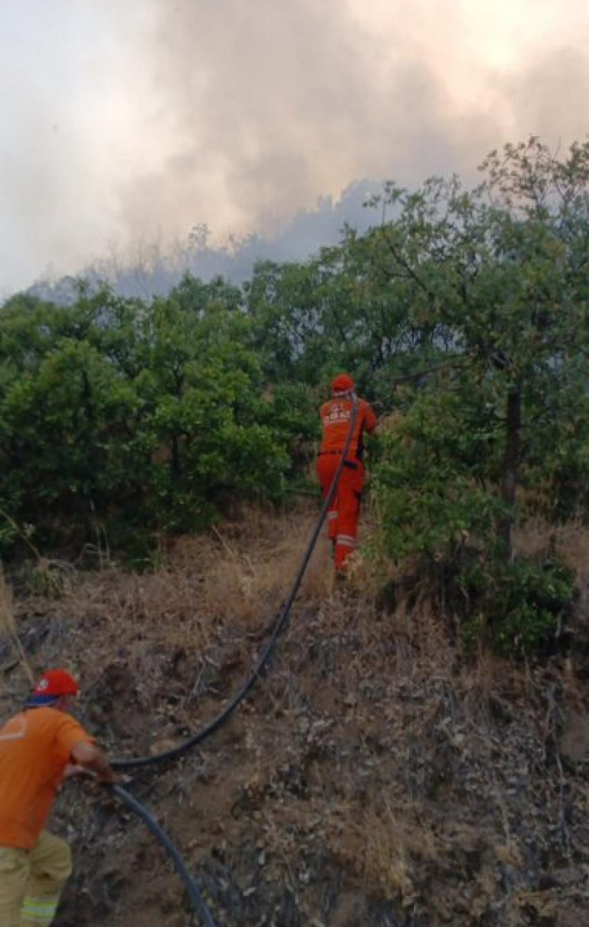 Kığı’da Orman Yangını