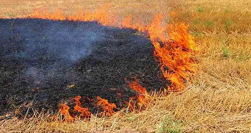 ANIZ YAKMAK TOPRAĞIN VERİMİNİ YOK EDİYOR