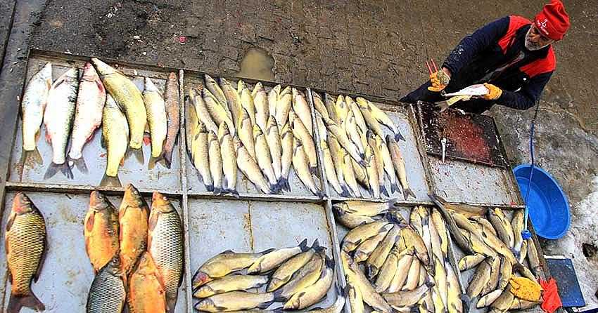 BALIK AVLAMA YASAĞI BAŞLIYOR