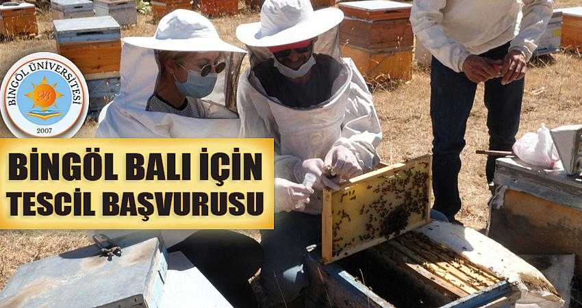 BİNGÖL BALI İÇİN TESCİL BAŞVURUSU