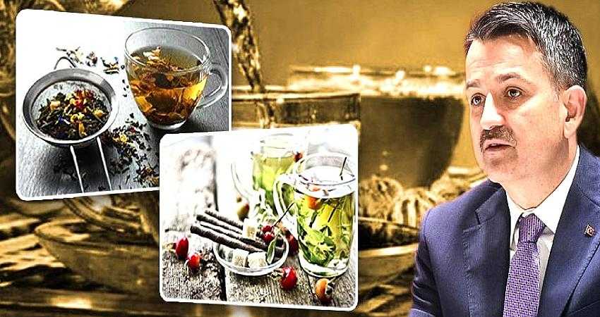 BİTKİ ÇAYLARI RAF ÖMRÜ 2 SENE