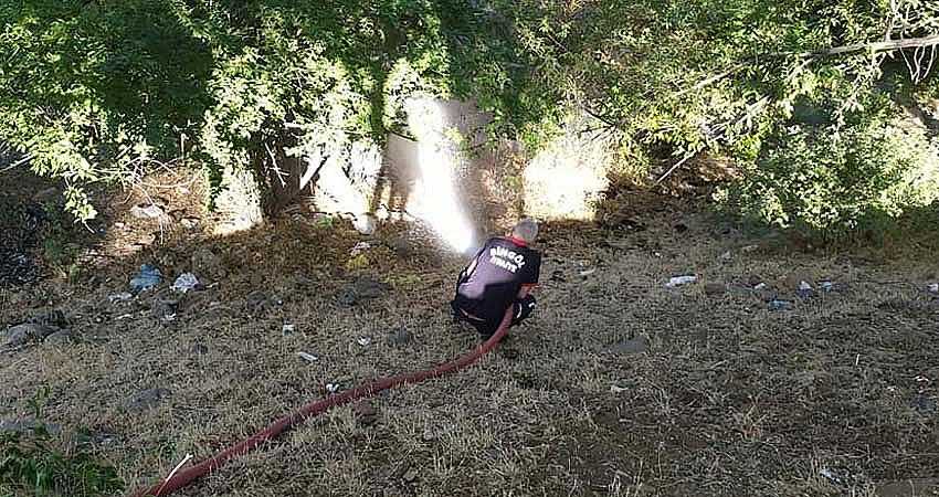 DSİ PARKINDA YANGIN