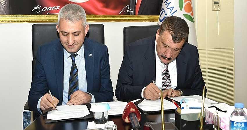 KAYISI ÇİÇEĞİ FESTİVALİ DÜZENLENECEK