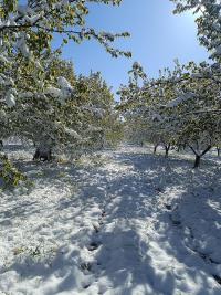Zirai Don Bingöl’ü Teğet Geçti