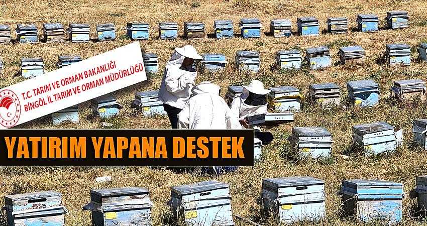 Yatırım yapan desteği kapacak