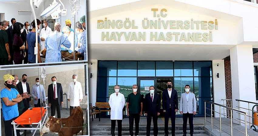 HAYVAN HASTANESİ HİZMET VERMEYE BAŞLADI