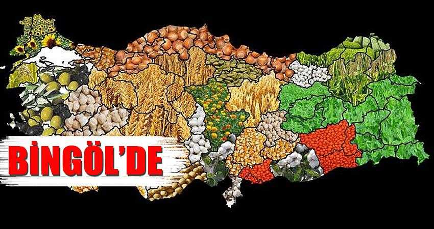 Desteklenecek ürünler belirlendi