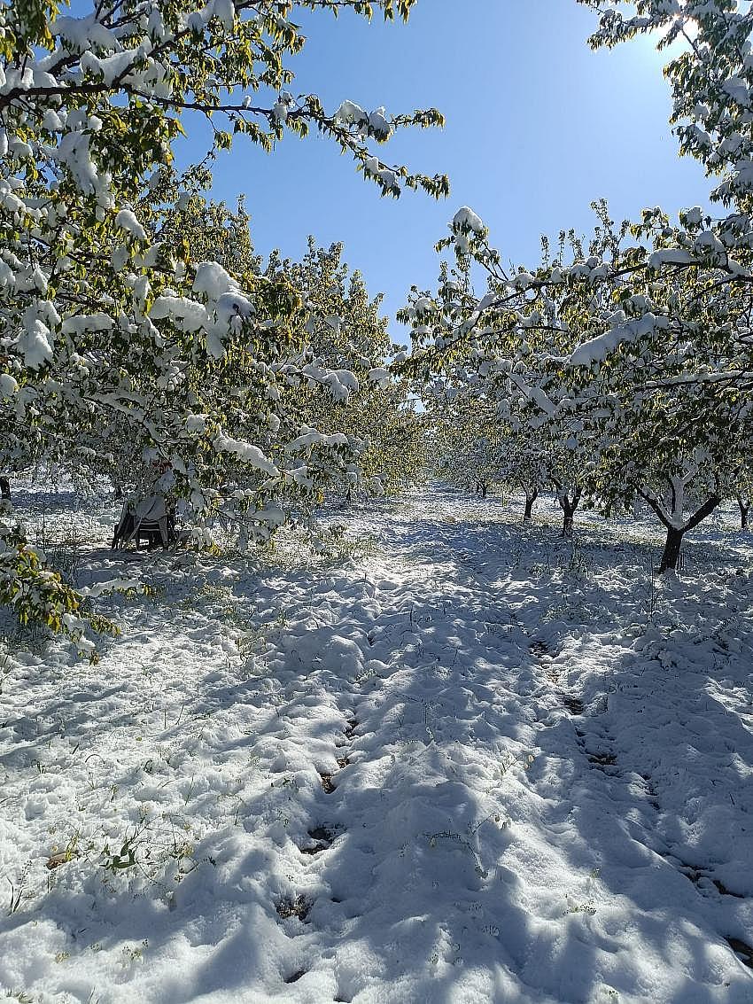 Çiftçinin Zararı Karşılanacak