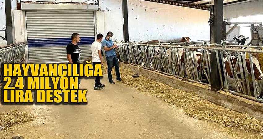 HAYVANCILIK YATIRIMLARINA 2.4 MİLYON LİRA DESTEK